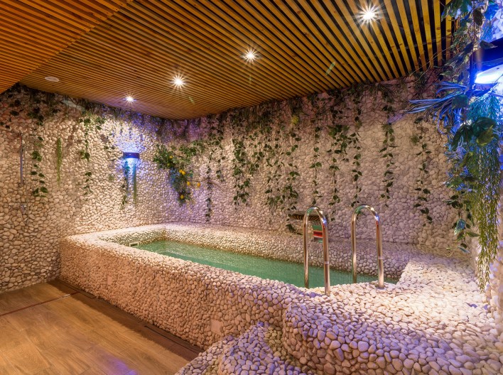 VIP SPA Hotel California